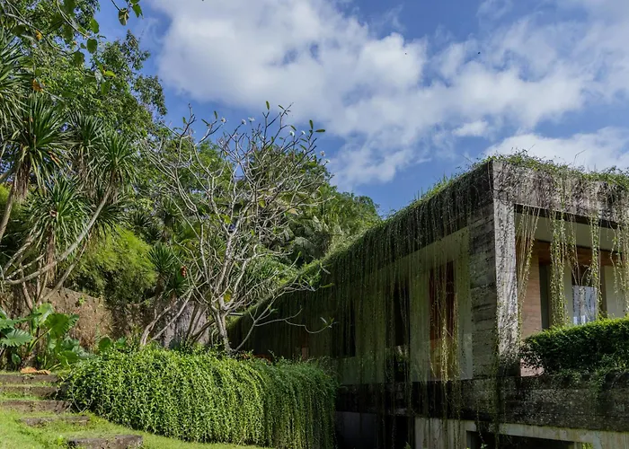 Chameleon Villa Bali